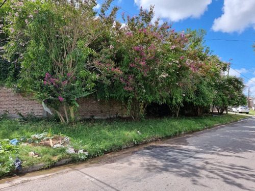 Imagen 8 de 8 de Venta. Lote En Esquina. 77 Y 116