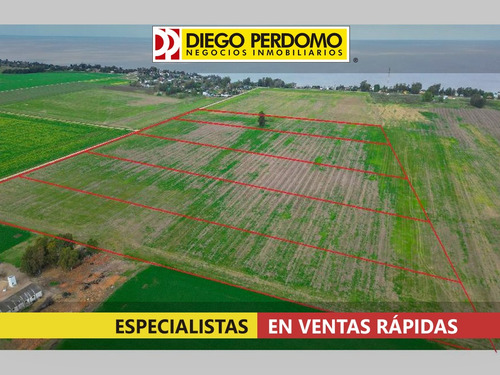 Fraccionamiento De Chacras De 3 Has En Venta, Kiyú