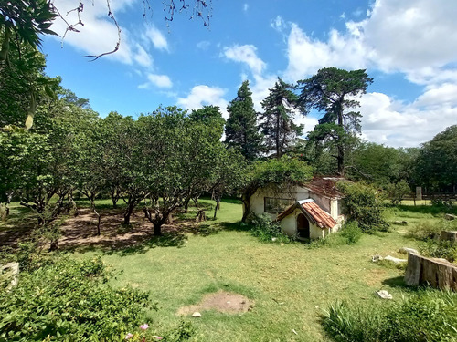 Casa Vendo Villa Giardino 4 Dor 7180 M2 Terreno