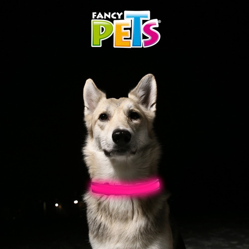 Collar Led Collar Con Bandas Reflejantes Fancy Pets Tamaño Del Collar Grande Color