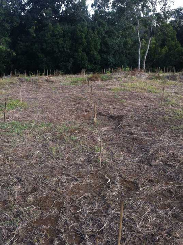 Vendo  Terreno Con Proyección De Inversion A 10 Minutos De Popayan