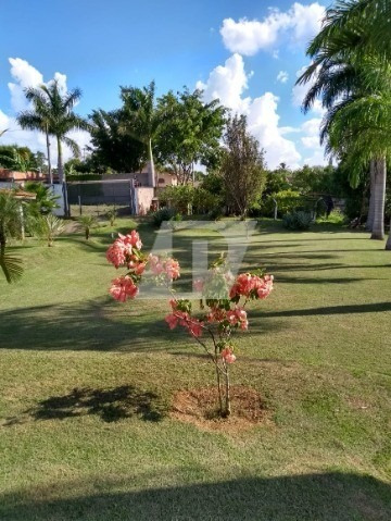 Imagem 13 de 15 de Chácara Bem Localizada - Ch00116 - 69403822