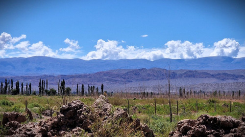 Venta Campo 134 Has En Finca Alamos, Barreal.