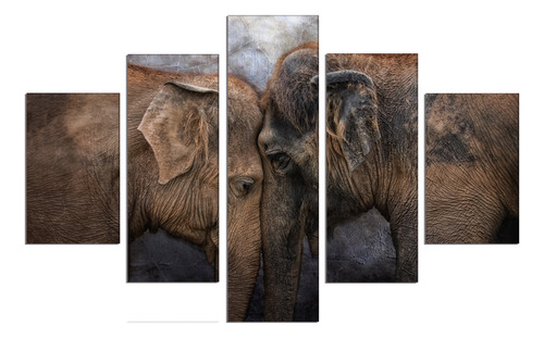 Set De 5 Cuadros Canvas Elefantes De Frente 114x185cm