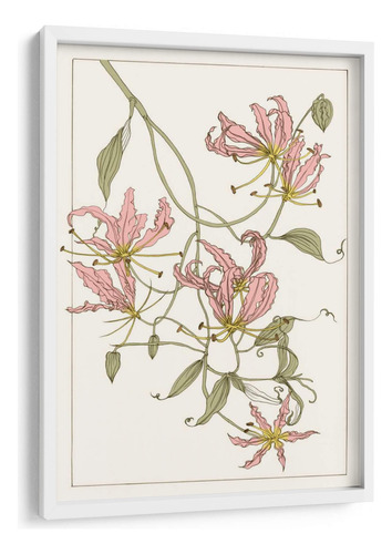 Cuadro Enmarcado Blanco Gloriosa Botánica Lily Ii 20x30