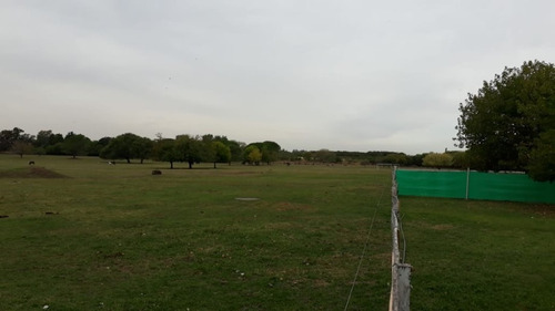 Imagen 6 de 10 de Lote En Venta En Belen De Escobar