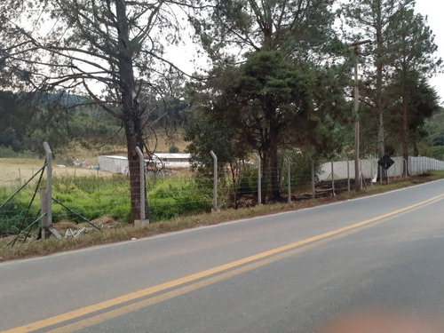 Imagem 4 de 19 de Terreno À Venda, Pinheirinho - Nazaré Paulista/sp - 2172