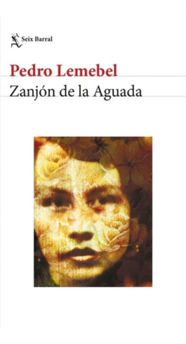 Zanjon De La Aguada