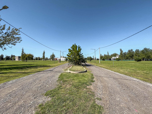 Terreno En Pinares Del Sur Barrio Cerrado, Piñero