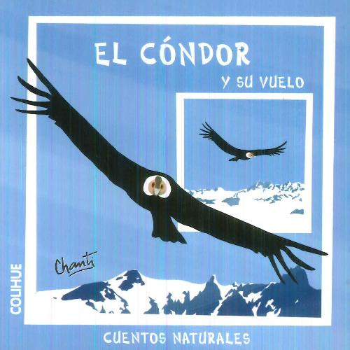 Libro El Cóndor Y Su Vuelo De Santiago González Riga