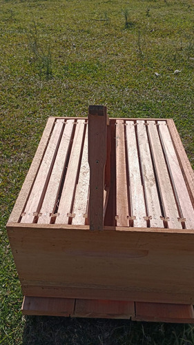 Cajon Alza Para Apicultura