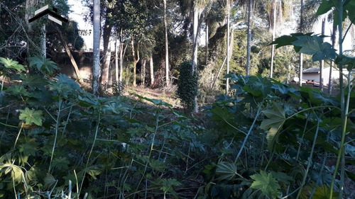 Imagem 11 de 15 de Ótimo Terreno Em Condomínio Fechado Em Caucaia Do Alto - Cotia - 293