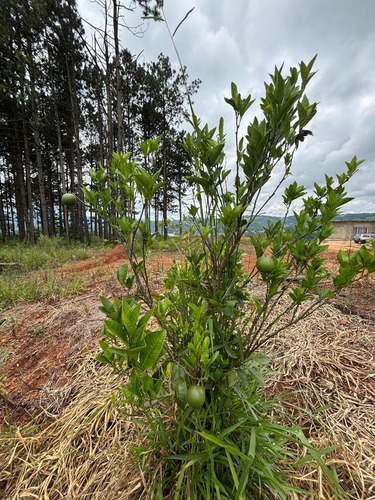 Terreno 750 M2 Com Poço A Venda No Recanto Maravilha