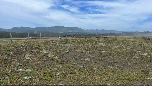 Sitios 5.000m2, Prim. Y Seg. Linea En Tregualemu, Pelluhue