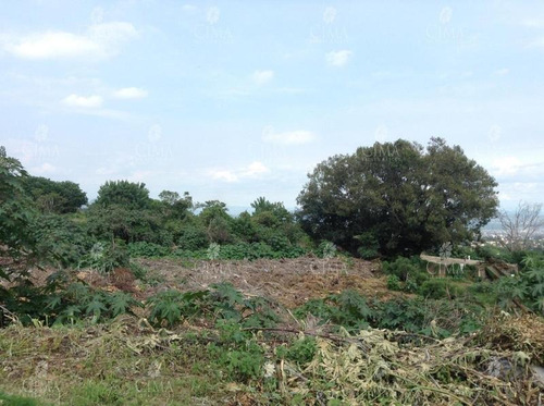 Imagen 4 de 5 de Venta Terreno Con Escrituras En Cuernavaca - T9-1