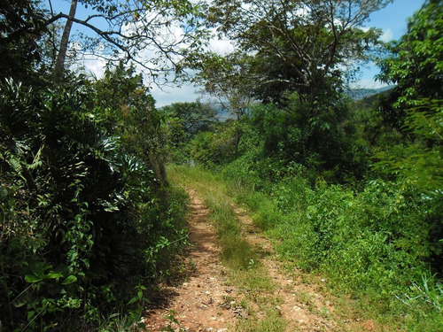 Terreno Mini Finca El Solar Wasi 795566