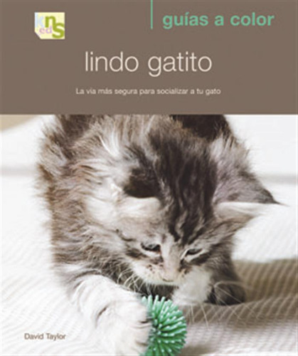  Lindo Gatito  -  Taylor, David 