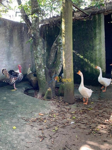 Imagem 4 de 30 de Maravilhoso Sítio Com Vista Cinematográfica, 3 Dormitórios, 1 Suíte E Piscina No Summertime Barreiro - Itatiba/sp - Si0014