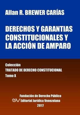 Libro Derechos Y Garantias Constitucionales Y La Accion D...
