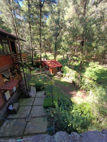 Imagen 5 de 19 de Departamento Tipo Cabaña En Medio Del Bosque Cerca De Santa Fe Pet Friendly Zona Ecolgica San Mateo Tlaltenango