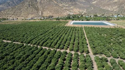Agrícola en venta