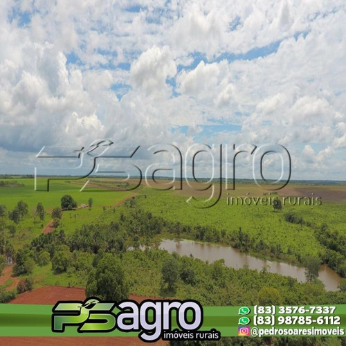 Imagem 1 de 10 de Fazenda À Venda Em Pium/to - 4.210 Ha (870 Alqueires) - Fa0089
