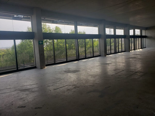 Imagen 7 de 17 de Oficinas En Av. Central Torres Bioparque , Col. San Pedro D