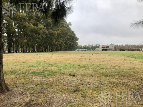 Imagen 8 de 30 de Venta De Terreno En Campos De Roca Ii (27850)