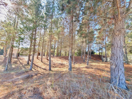 Imagen 8 de 11 de Lindo Terreno En Venta - Barrio Ecuestre De Costa Esmeralda