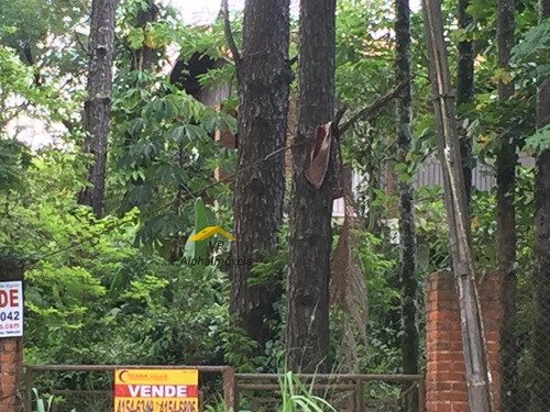Imagem 6 de 8 de Terreno A Venda No Bairro Maria Mercedes Em Santana De - Vpspar-01t-1