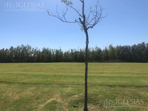 Imagen 4 de 18 de Terreno - Acacias