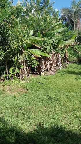 Imagem 5 de 14 de Vendo Excelente Chácara Com 2casas Córrego Nos Fundos Em Pl
