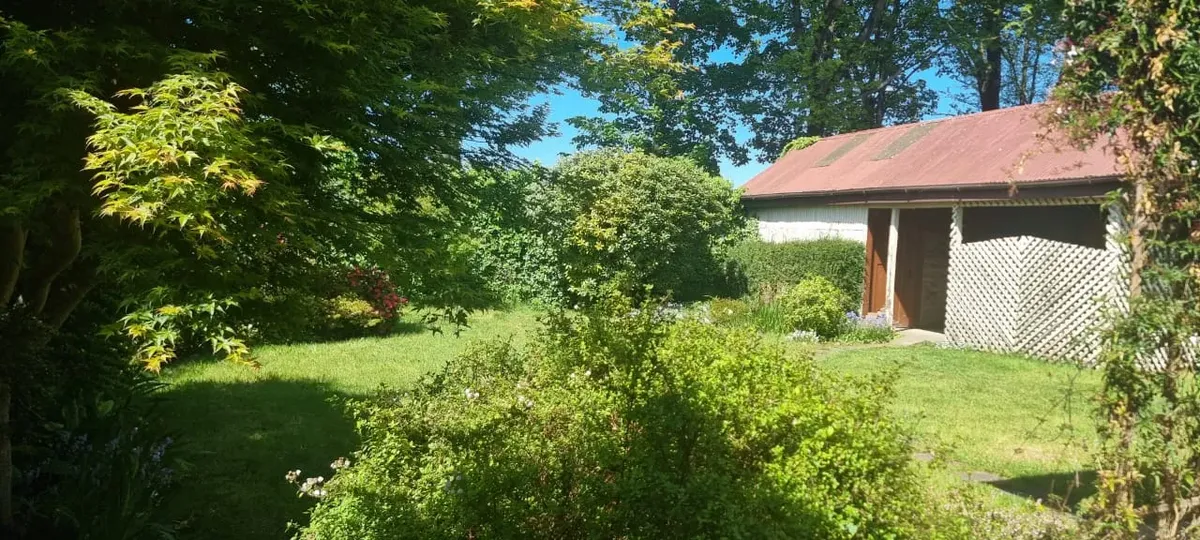 Imagen 3 de 17 de Se Vende Casa