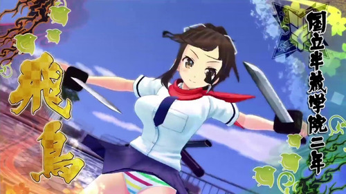 Senran Kagura Burst Re Newal At The Seams Edicion Ps 4