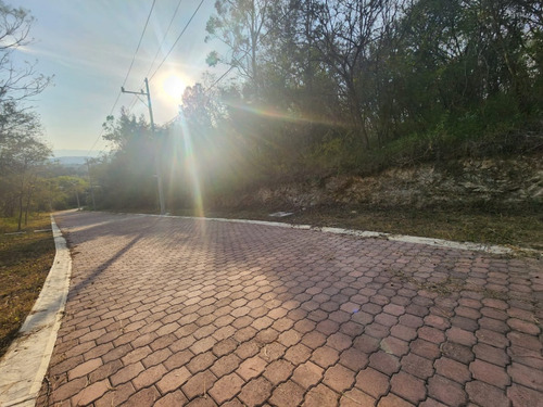 Venta Lote Gladiola 31 Muy Cerca De La Entrada Y En Nueva Zona De Fracc Rancho San Diego Ixtapan De La Sal Edomex Con Todos Los Servicios Y Proyecto Incluído