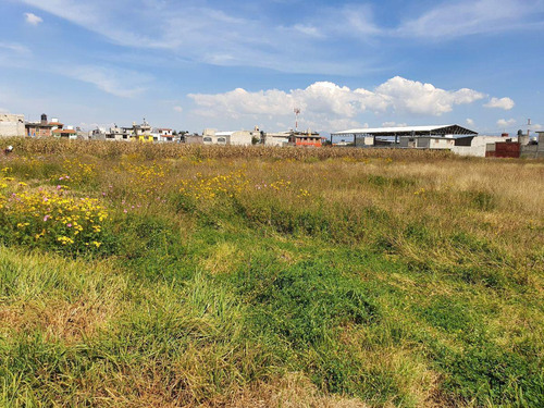 Terreno En Venta, San Pedro Totoltepec, Frente Al Aeropuerto Int. De Toluca