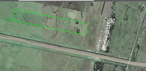 Imagen 13 de 14 de 84 Hectareas Campo, Castelli, Buenos Aires
