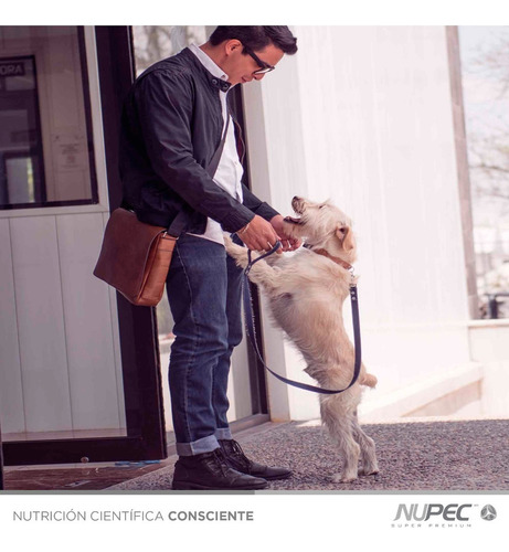 Premios Nupec Trainning Treats 180g, Adiestramiento Canino