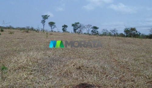 Imagem 10 de 15 de Fazenda - Zona Rural - Ref: 4350 - V-mta4350