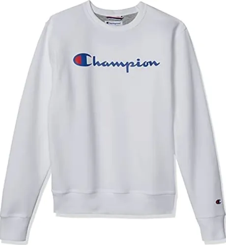 Champion men's graphic cheap powerblend fleece crew