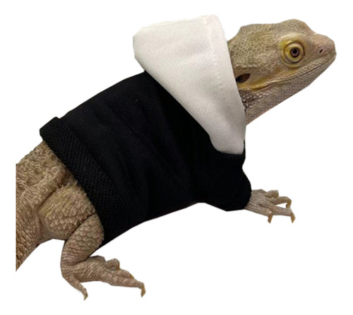 (2 #mold) Ropa Para Dragones Barbudos, Geckos, Reptiles, Rop
