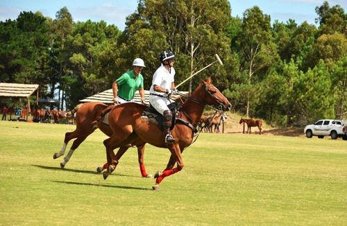 Imagen 18 de 20 de Alquiler En Deportiva 1, Costa Esmeralda