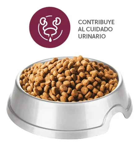 Mirringo Pro Adulto 1 Kilo