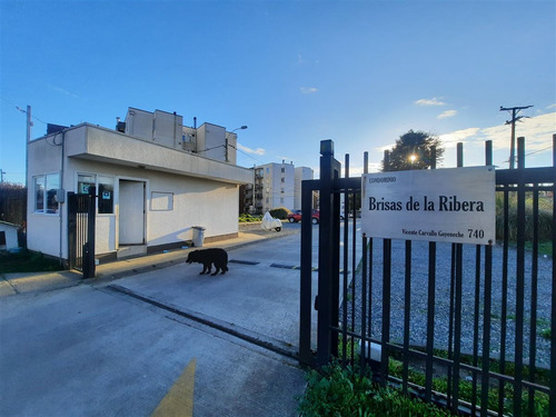 Luminoso Depto 2d 2b En Condominio Seguro En Valdivia