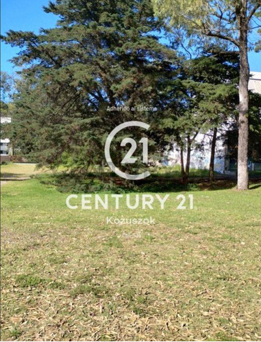 Lote Multifamiliar En Alquiler Y/o Venta. Av Bunge, Entre Marco Polo Y Av. Shaw, Pinamar.