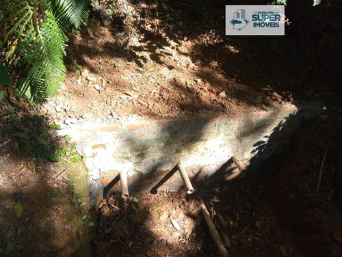 Imagem 29 de 30 de Sítio A Venda No Bairro Centro Em Passa Sete - Rs. - 2015-1