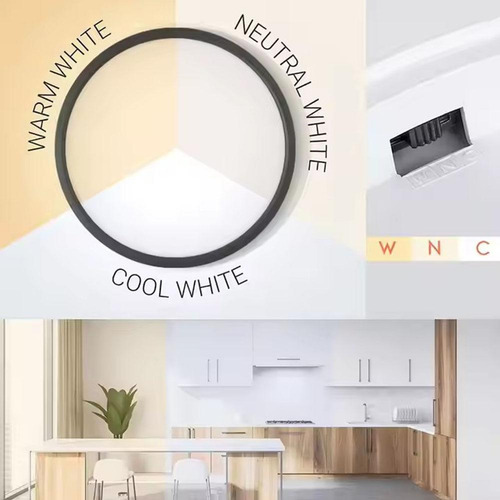 Lámpara De Techo Inteligente Rgbcw Fullcolor Dimming Light A