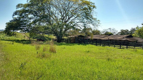 Vendo Rancho Ganadero 223 Hectáreas Temapache Veracruz