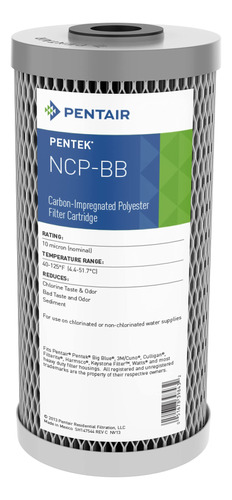 Pentair Pentek Ncp-bb - Filtro De Agua De Carbono Azul Grand