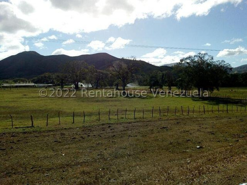 Julio Latouche 25-16896 Finca Ganadera En Venta Carabobo, 267 Hectáreas, Casa Principal De 550 Mts2, Dos Lagunas Para Riego.